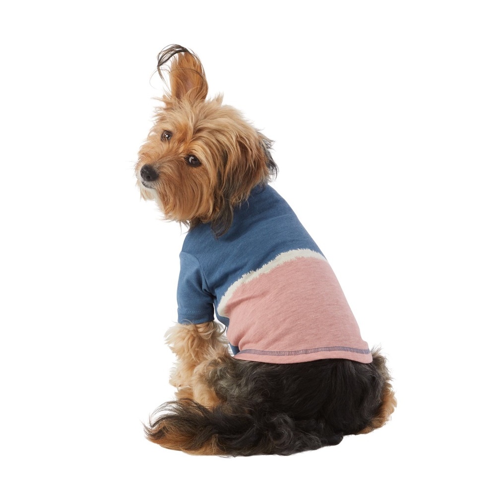 Dog shirt - Picture 1 of 4